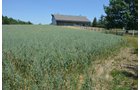 Property photo 81 - 21 Acre Modern Country Estate